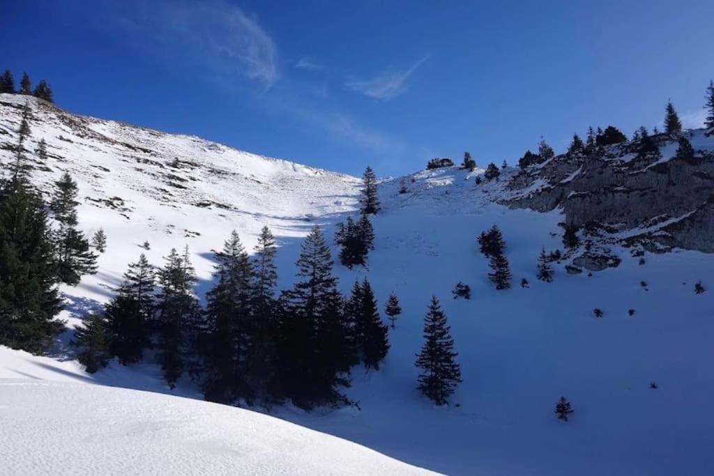 בלגארד סור-ואלסרין Nice And Cosy Flat Near Geneva Or Annecy מראה חיצוני תמונה